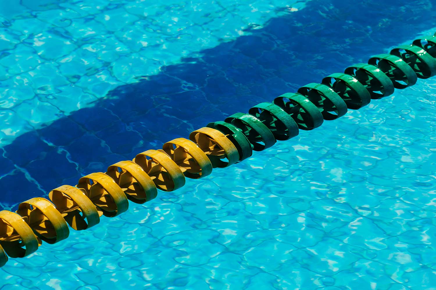 Dutch olympians nvod webimage 10