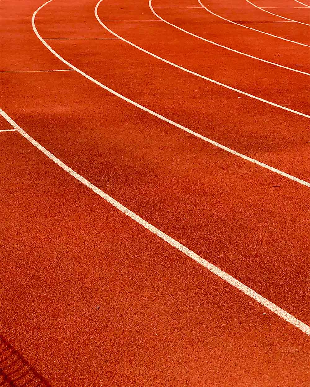 Dutch olympians nvod webimage 19