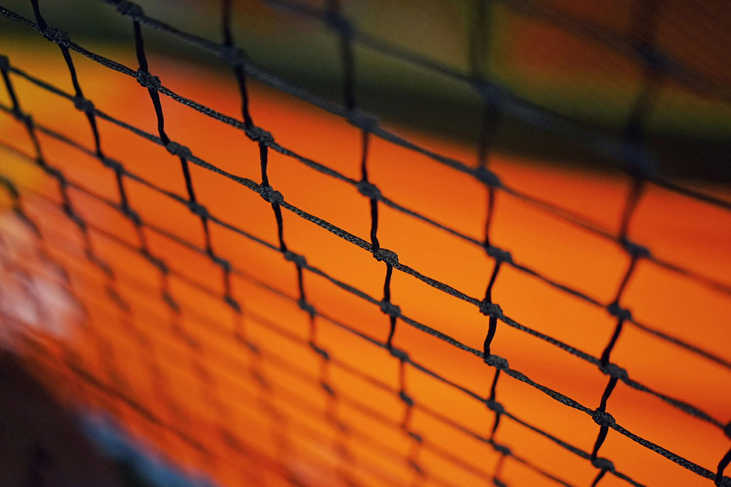 Dutch olympians nvod webimage 5